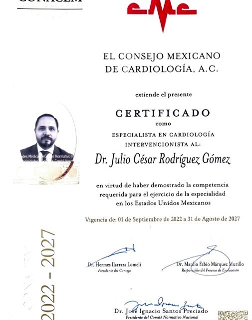 Ampliar imagen: certificate 2