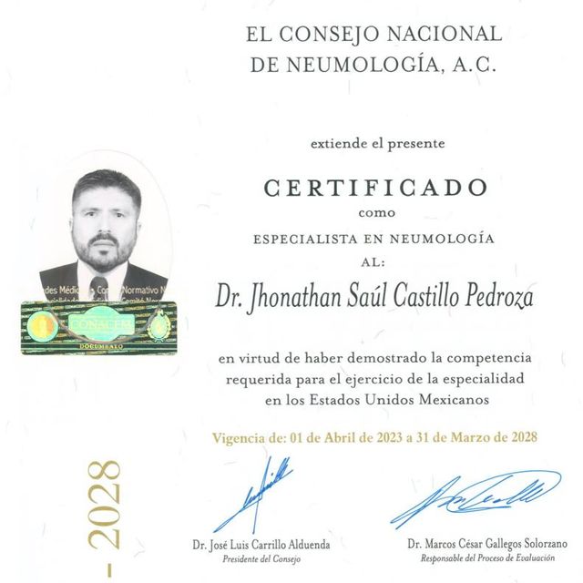 Ampliar imagen: certificate 4