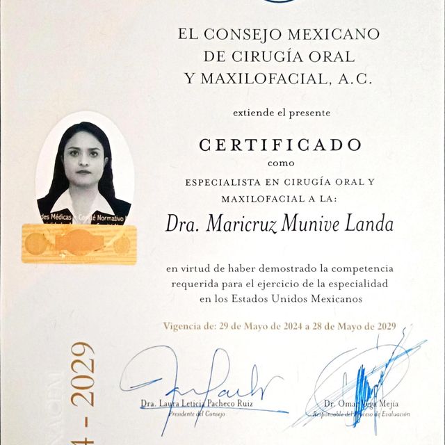 Ampliar imagen: certificate 3