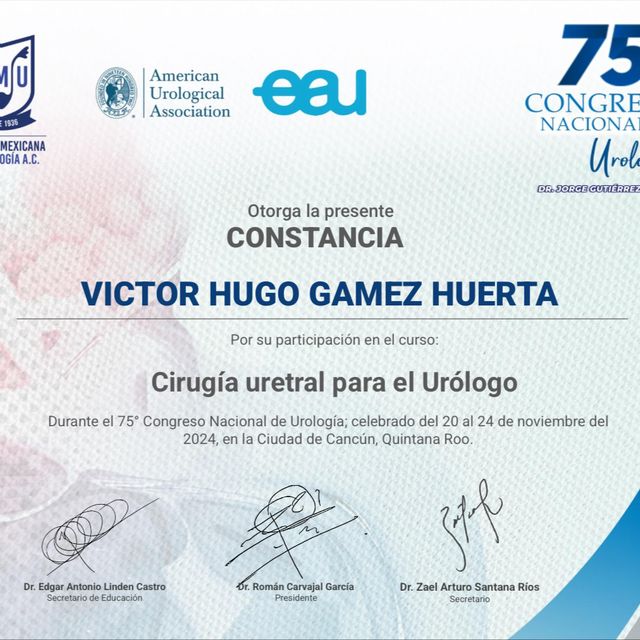 Ampliar imagen: certificate 8
