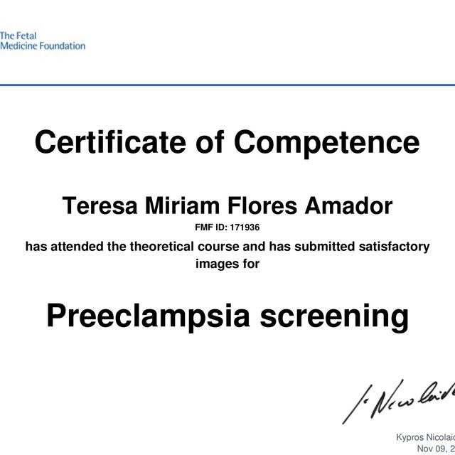 Ampliar imagen: certificate 3