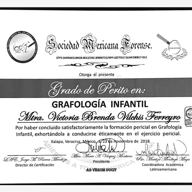Ampliar imagen: certificate 3