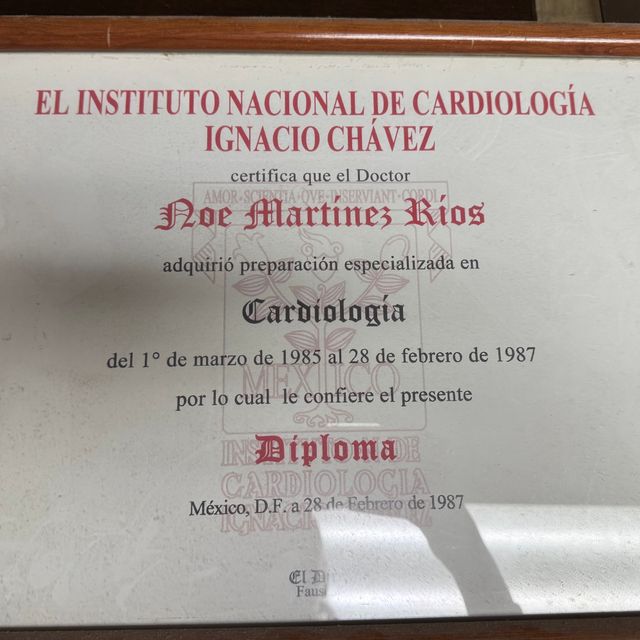 Ampliar imagen: certificate 1