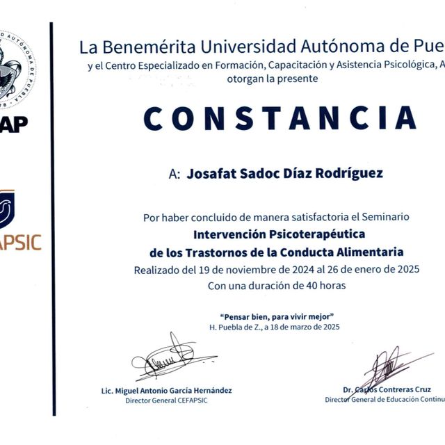 Ampliar imagen: certificate 4