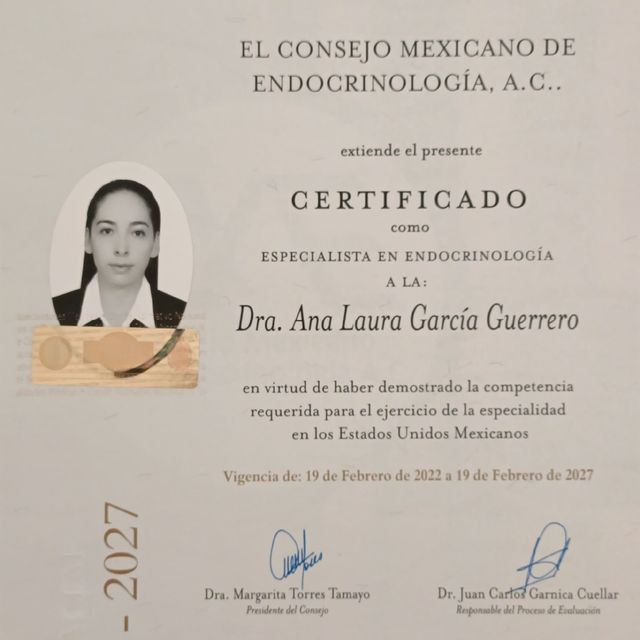 Ampliar imagen: certificate 1