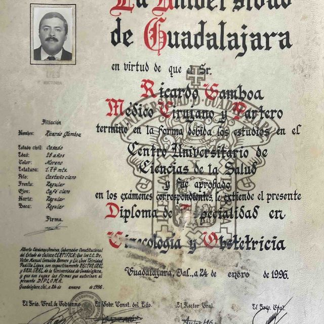 Ampliar imagen: certificate 5
