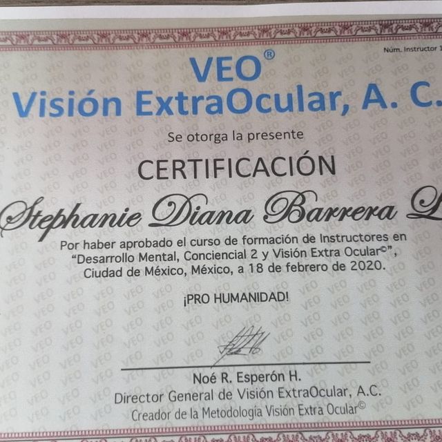Ampliar imagen: certificate 11
