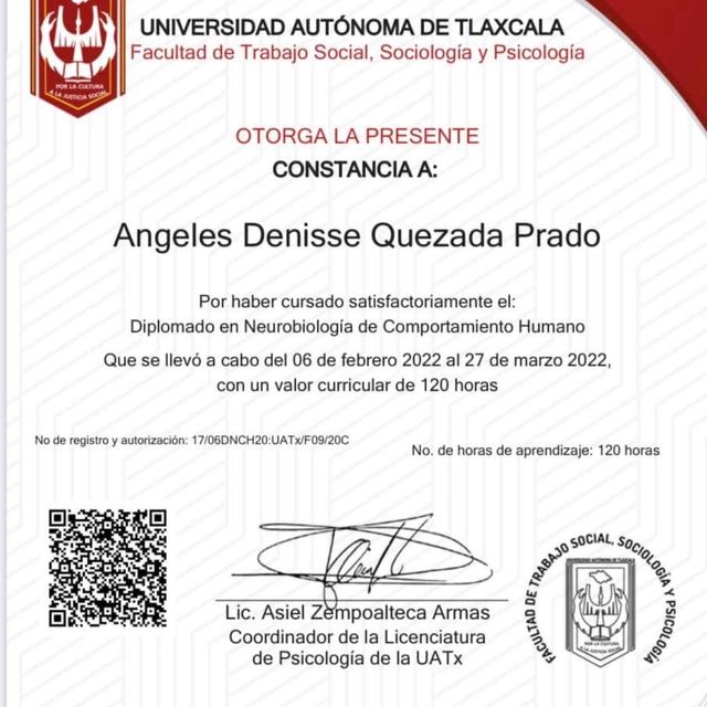 Ampliar imagen: certificate 24