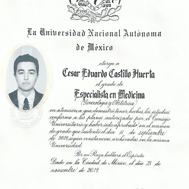 Ampliar imagen: certificate 2