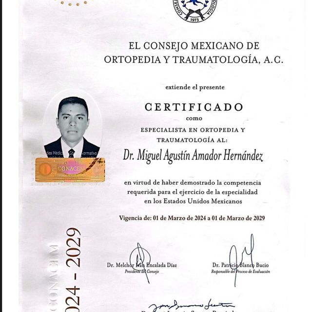 Ampliar imagen: certificate 1