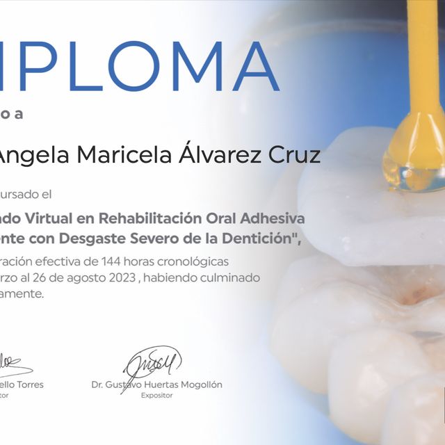 Ampliar imagen: certificate 23