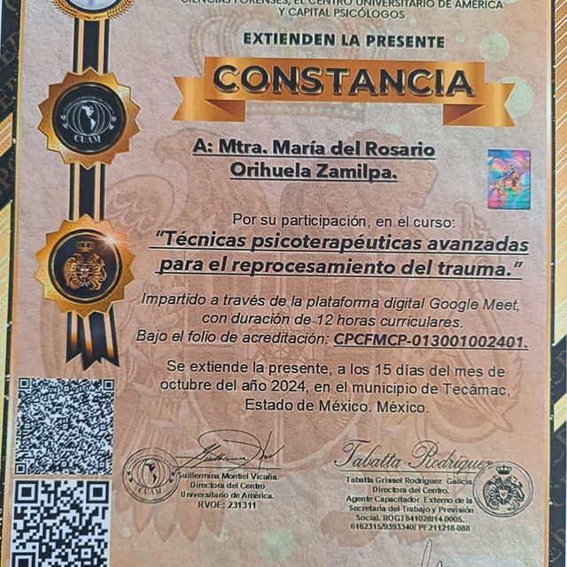 Ampliar imagen: certificate 6