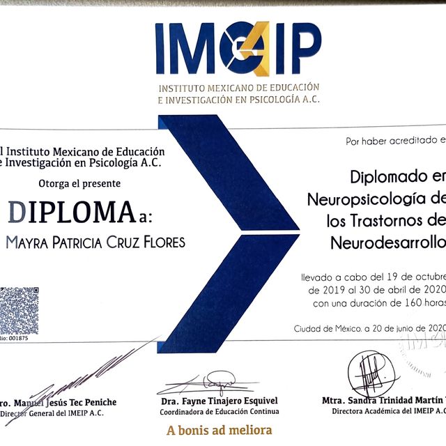 Ampliar imagen: certificate 2