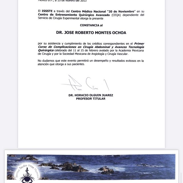 Ampliar imagen: certificate 12