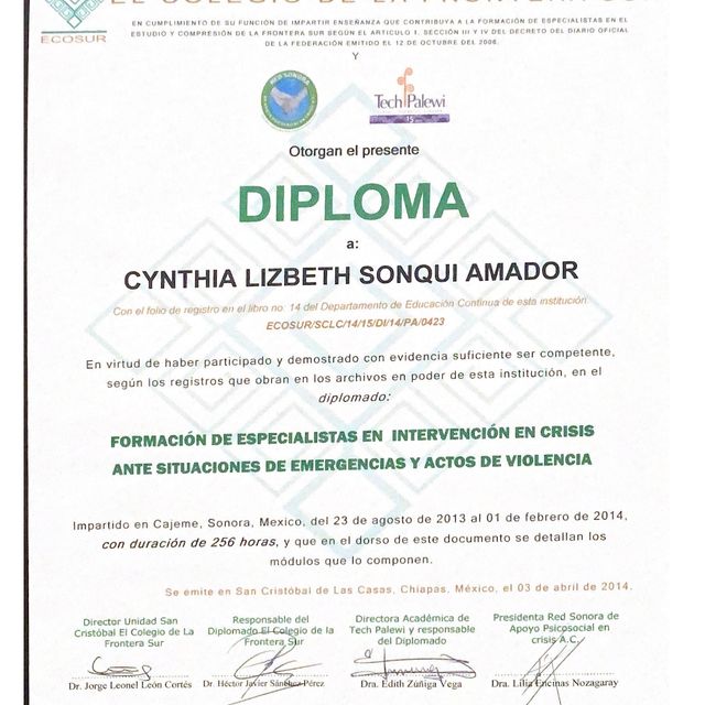 Ampliar imagen: certificate 4