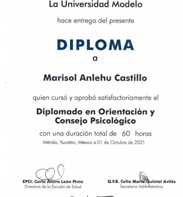 Ampliar imagen: certificate 3