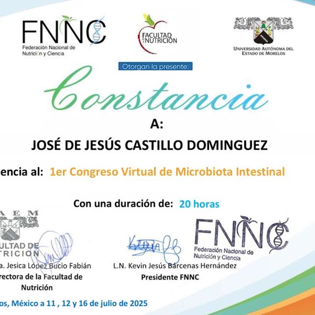 Ampliar imagen: certificate 7