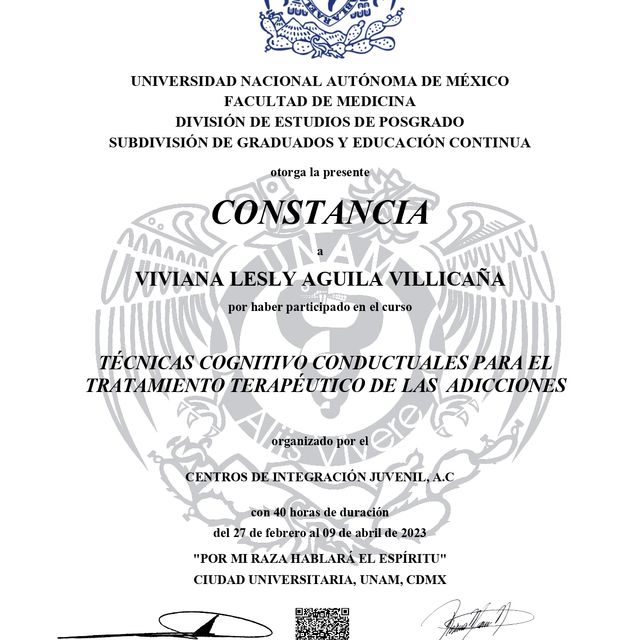Ampliar imagen: certificate 3