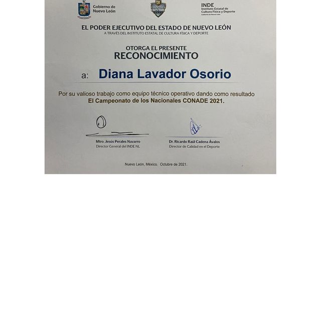 Ampliar imagen: certificate 2