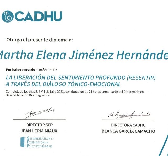 Ampliar imagen: certificate 5
