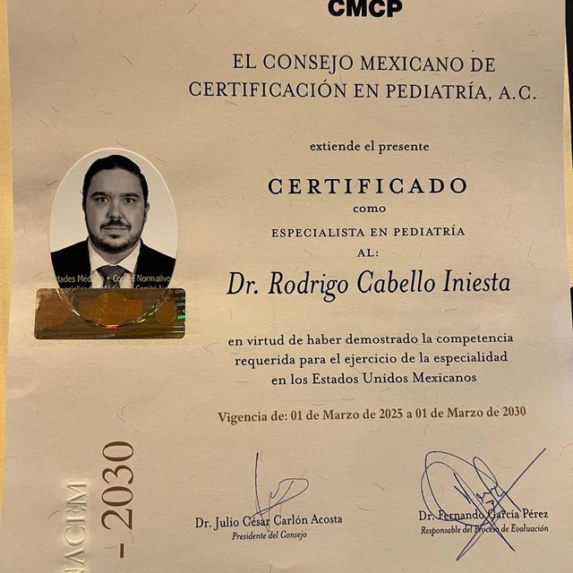 Ampliar imagen: certificate 3
