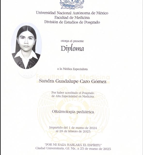 Ampliar imagen: certificate 5
