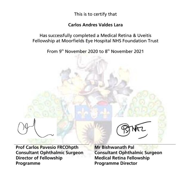 Ampliar imagen: certificate 1