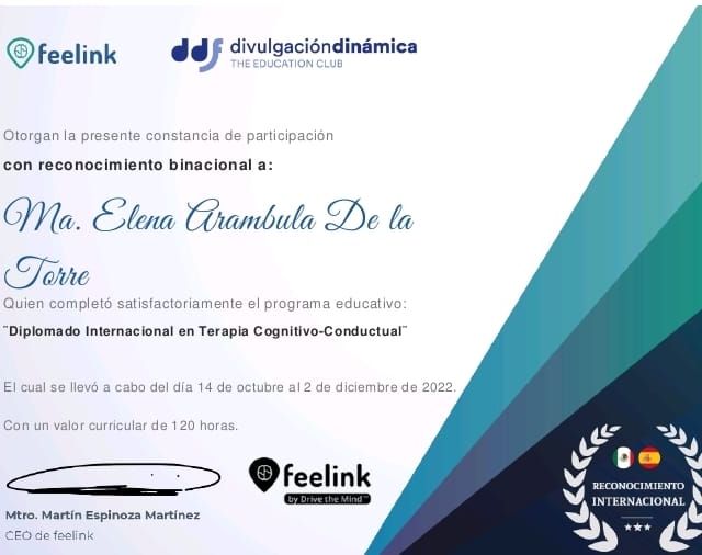 Ampliar imagen: certificate 10