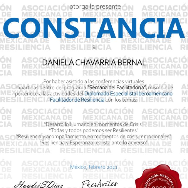 Ampliar imagen: certificate 15