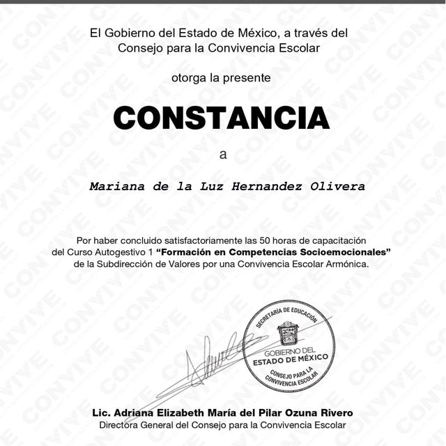 Ampliar imagen: certificate 1
