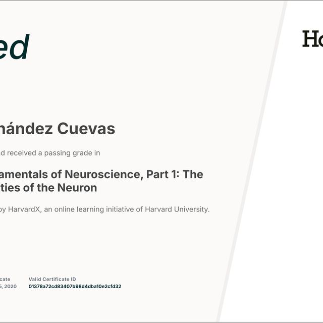 Ampliar imagen: certificate 3