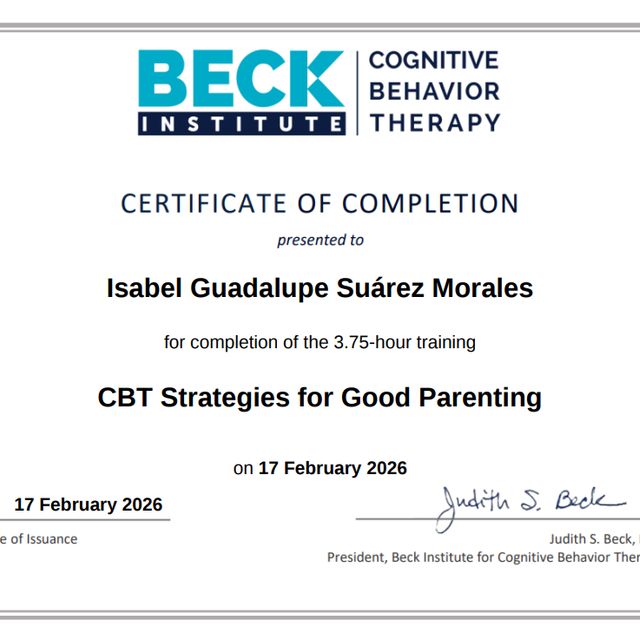Ampliar imagen: certificate 7