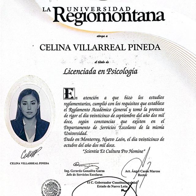 Ampliar imagen: certificate 1