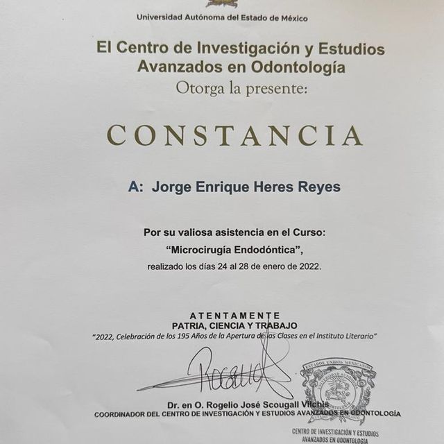 Ampliar imagen: certificate 4