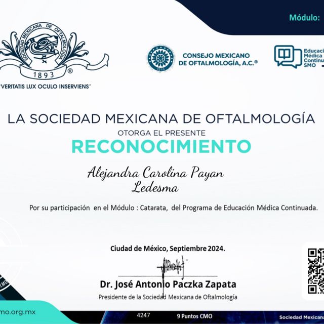 Ampliar imagen: certificate 4