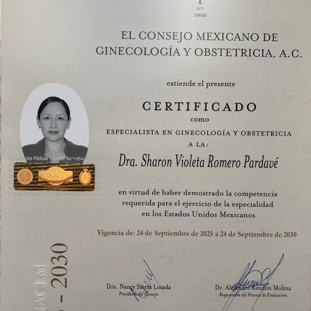 Ampliar imagen: certificate 2