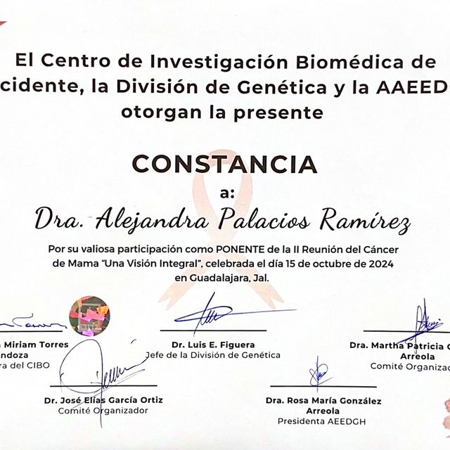 Ampliar imagen: certificate 7
