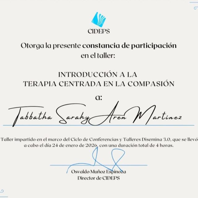 Ampliar imagen: certificate 17