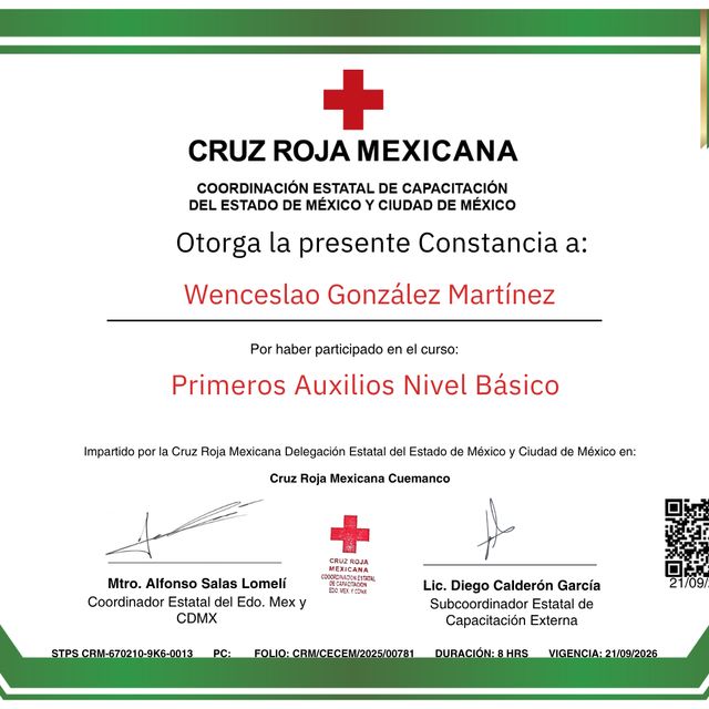 Ampliar imagen: certificate 11