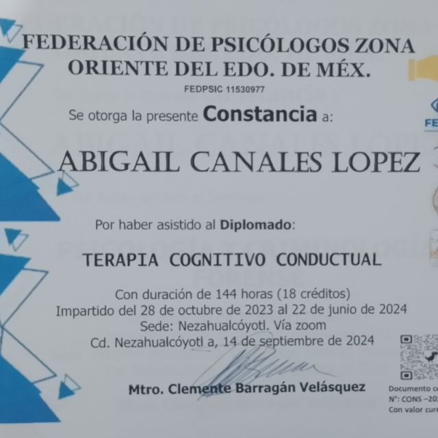 Ampliar imagen: certificate 4