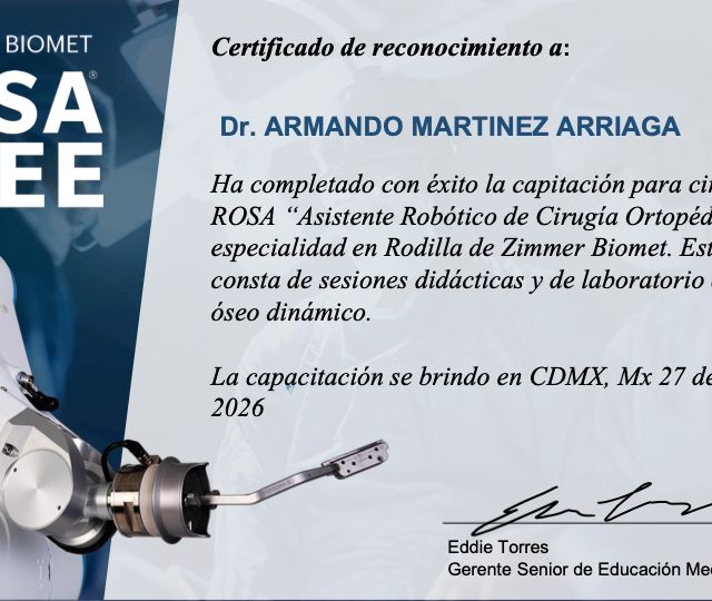 Ampliar imagen: certificate 3