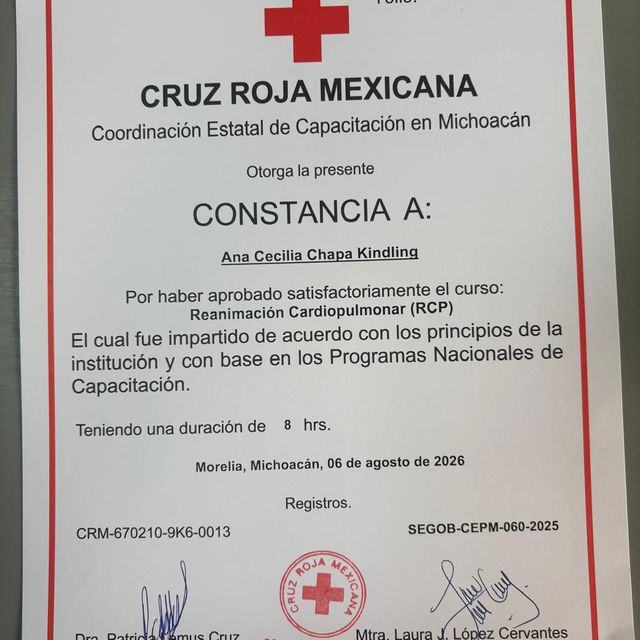 Ampliar imagen: certificate 9