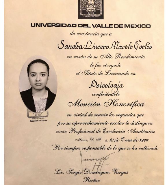 Ampliar imagen: certificate 3
