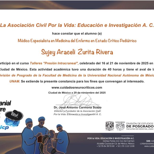 Ampliar imagen: certificate 8