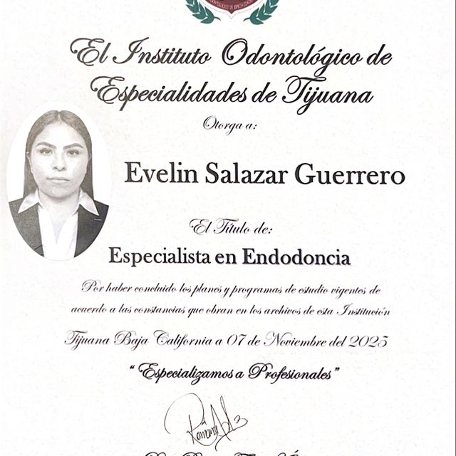 Ampliar imagen: certificate 3