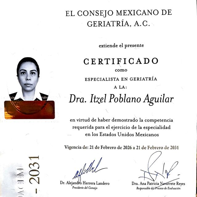 Ampliar imagen: certificate 5