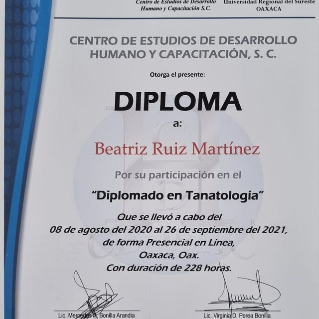 Ampliar imagen: certificate 8