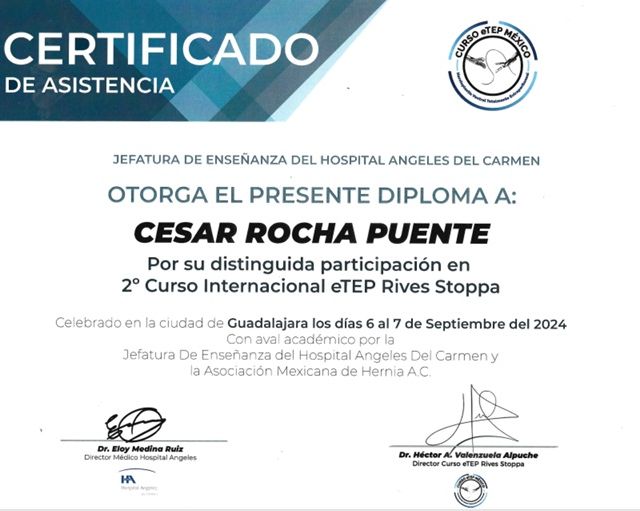 Ampliar imagen: certificate 66
