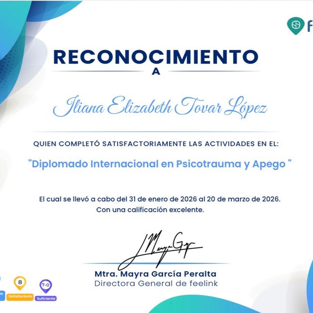 Ampliar imagen: certificate 8