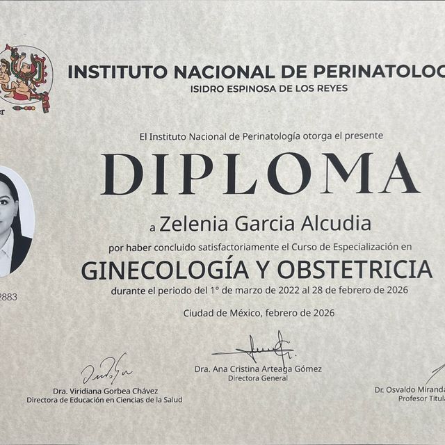Ampliar imagen: certificate 1